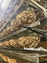 Load image into Gallery viewer, Panettone con Amarene di Cantiano