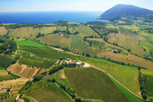 Carica l'immagine nel visualizzatore di Gallery, Zero