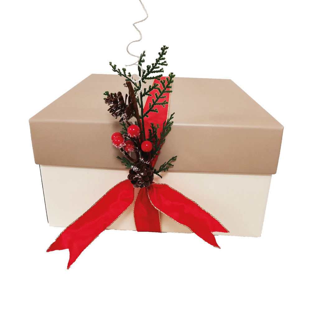 Confezione di Natale Large 34x34x18